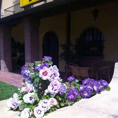 艾尔伯格特雷波希酒店 酒店 4*